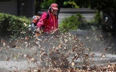 Effort to ban gas-powered leaf blowers in Saanich